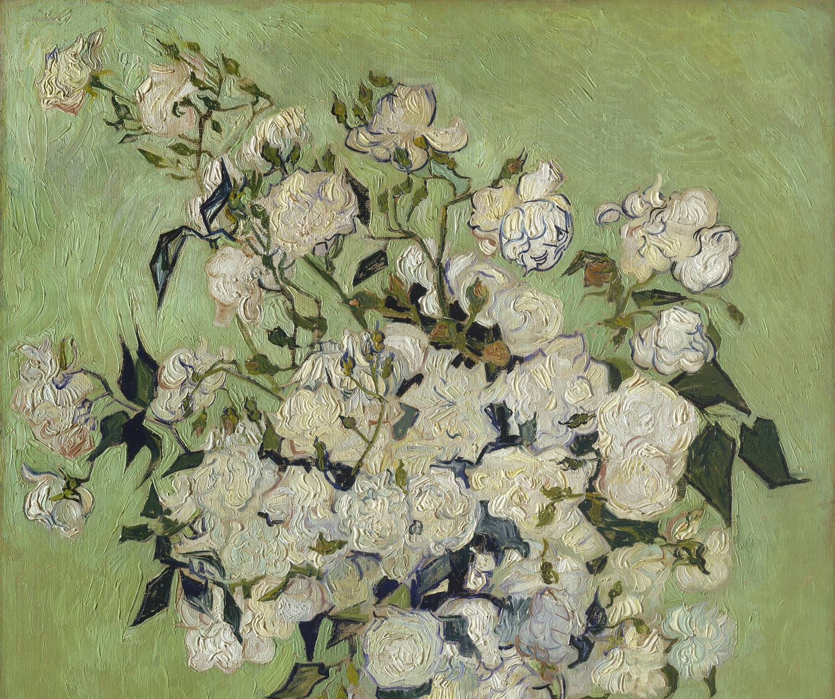 Van Gogh painted the background the same hue family as the vase and leaves , an audacious monochromatic gamble that unifies the canvas and makes the white petals blaze by contrast.