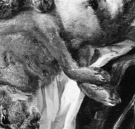 Jan Fyt was 27 when he painted this. He trained under Frans Snyders.