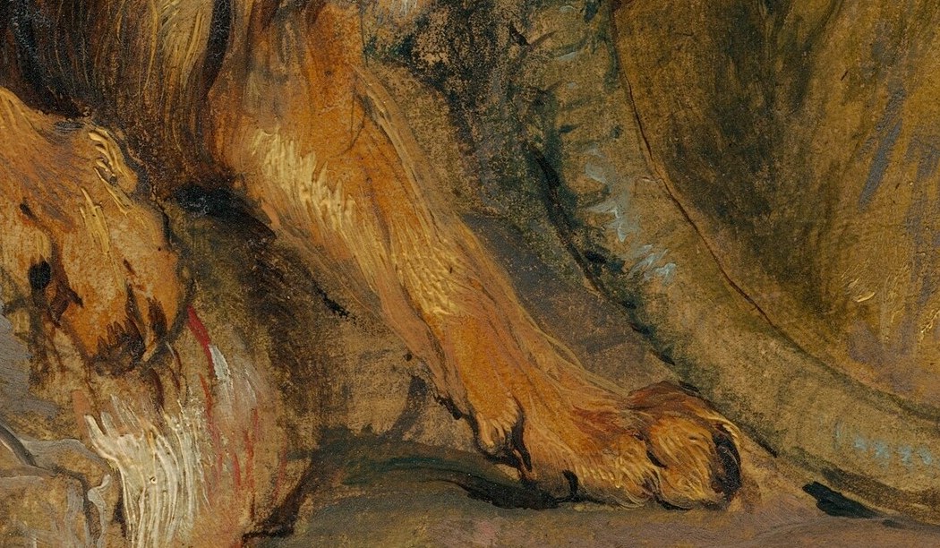 See its powerful foreleg, pinning the prey to the ground.