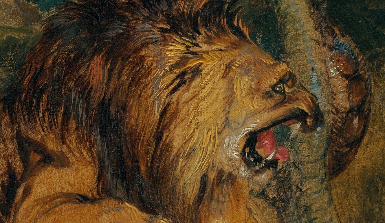 This lion has just made a kill.