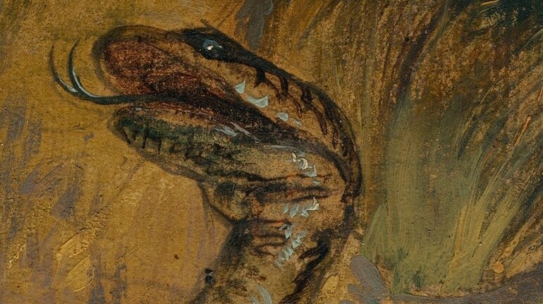 Even a watchful snake sees the whole drama unfold.