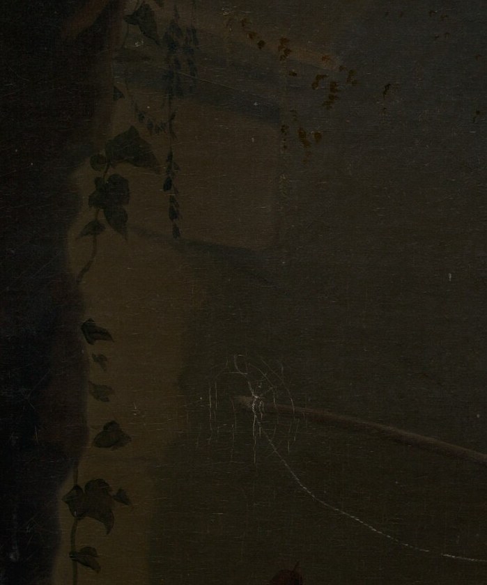 Look closely in the upper left, among the leaves.