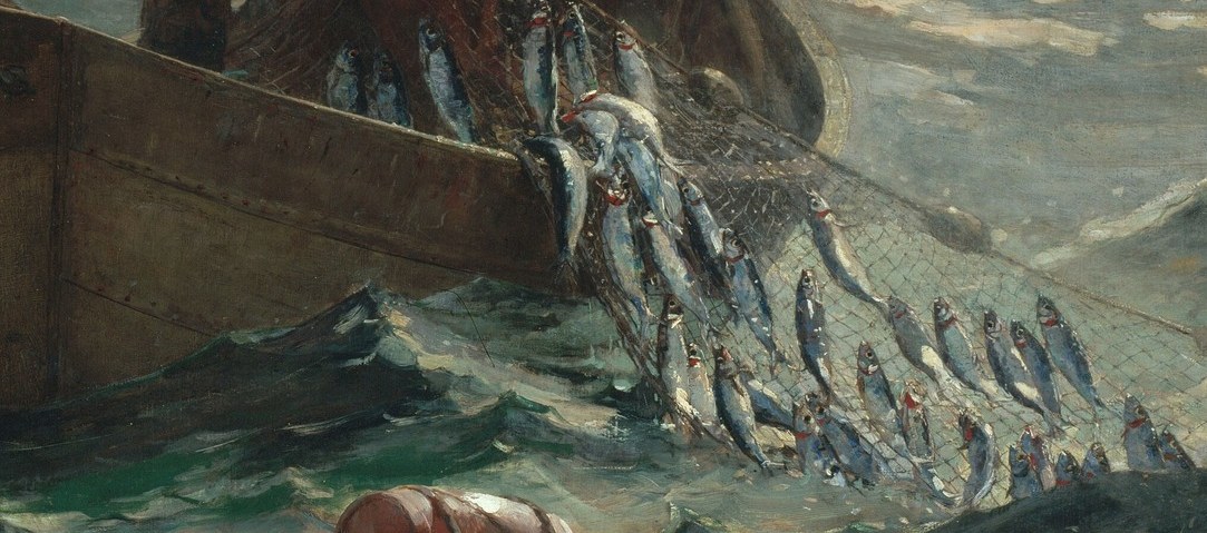 Its weight and the way it drapes over the boat emphasize the substantial catch.