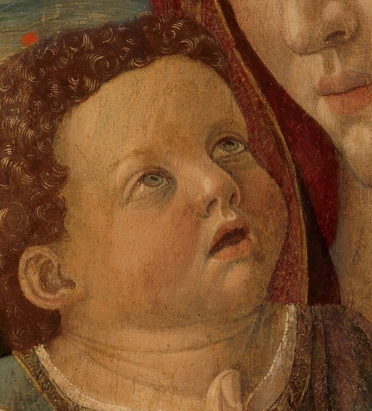 His wide eyes gaze up, full of innocent devotion.