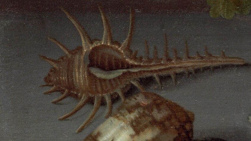 He even painted the complex patterns of these seashells.