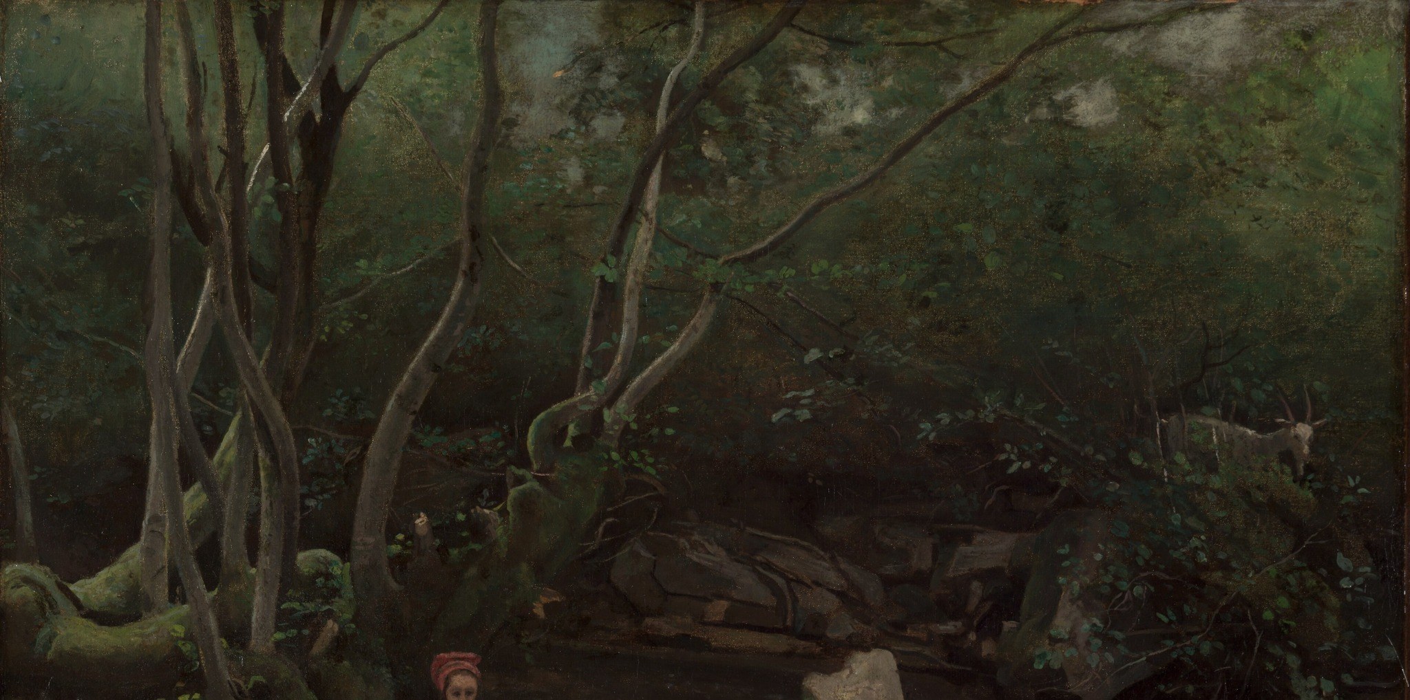 The thick canopy and gnarled branches create an atmosphere of enclosure and mystery, hinting at the depth of the woods.