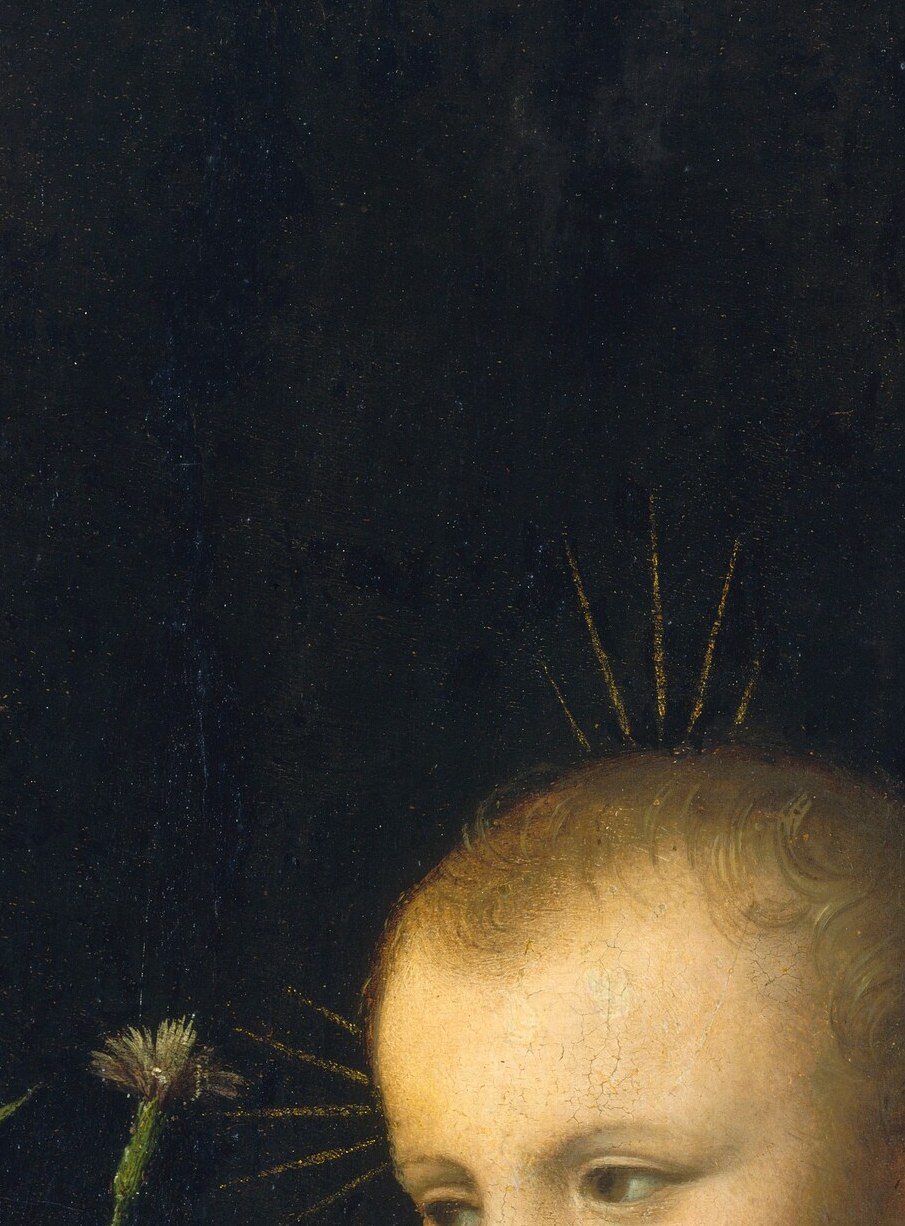 But the carnation flower in his hand means more than just a bloom.
