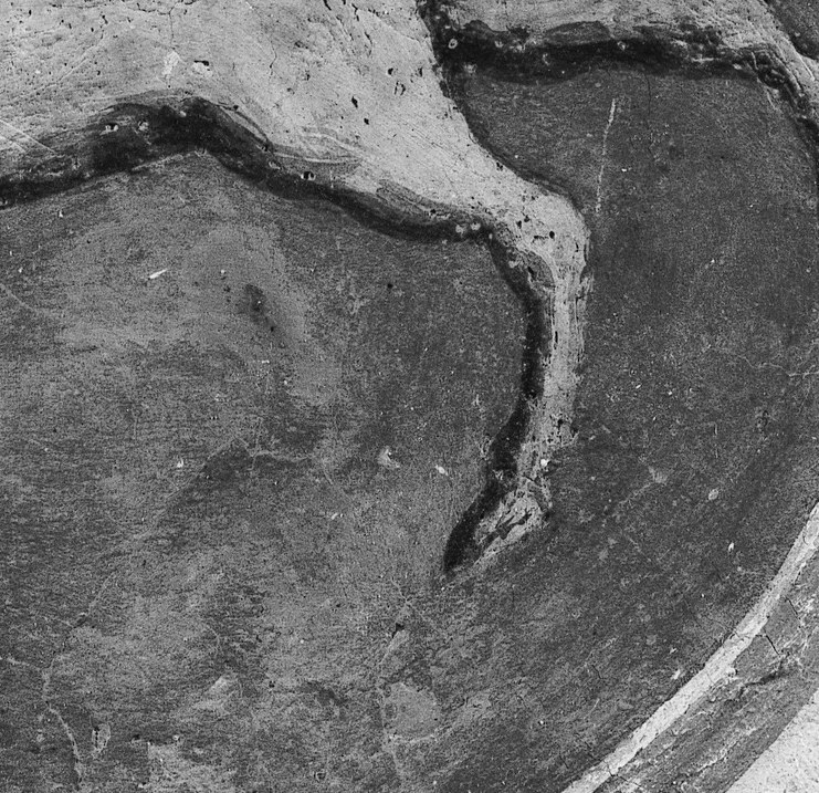 The horse's body pushes forward, ready to gallop.