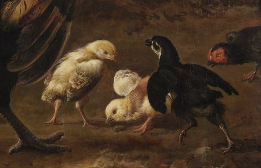 Vulnerable chicks are a symbol of the next generation.