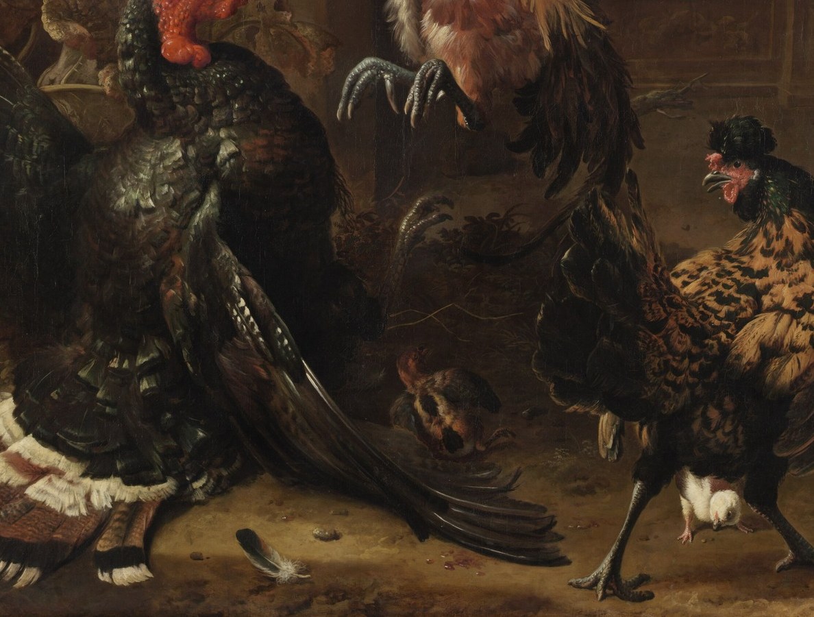 The turkey's body shows defiance and alarm.