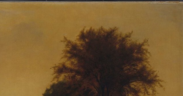 Look where the bare branches cross the sky.