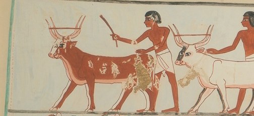 Egyptian red (ochre) used for men and animals , the deliberate palette choice encodes gender and living warmth against the white linen of death