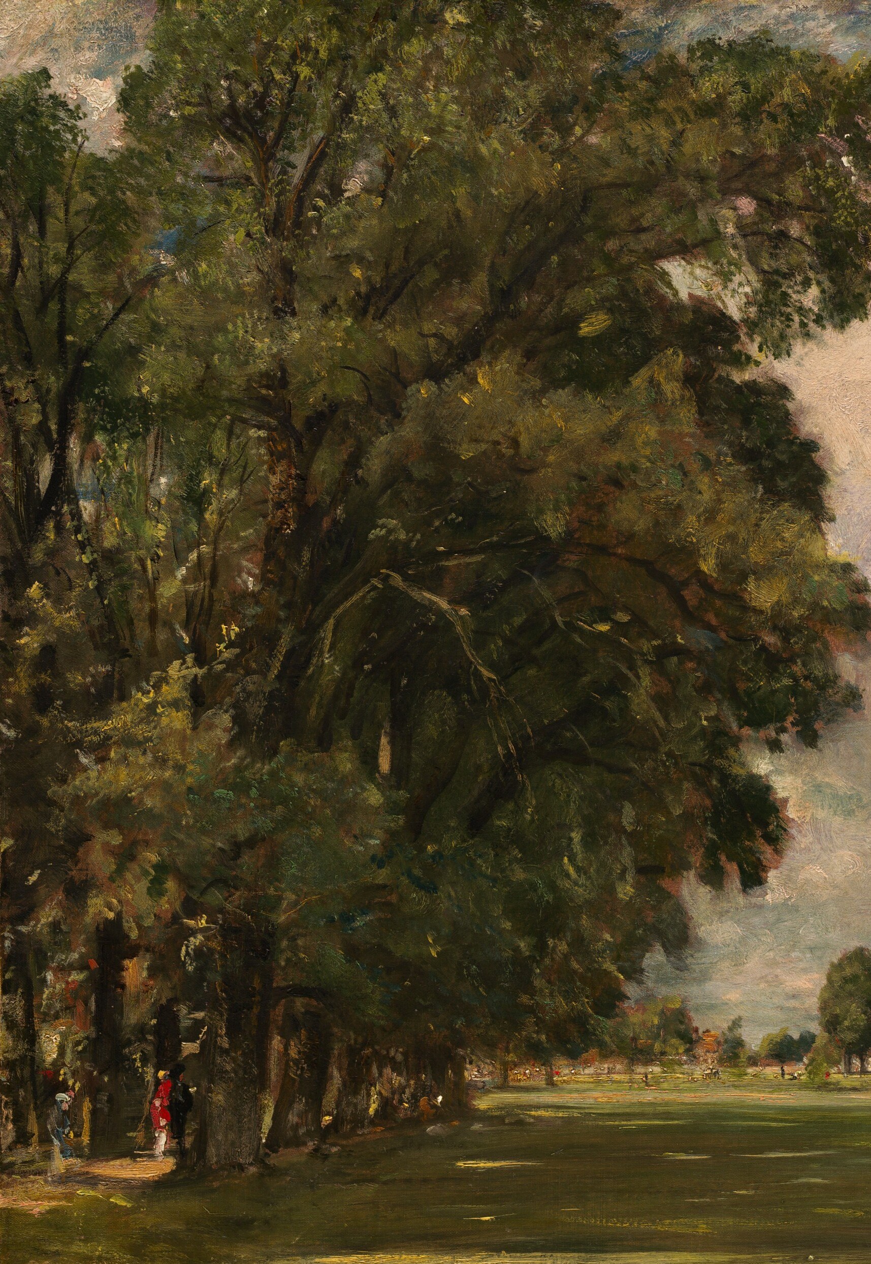 Now look at the texture of the leaves in the foreground tree.