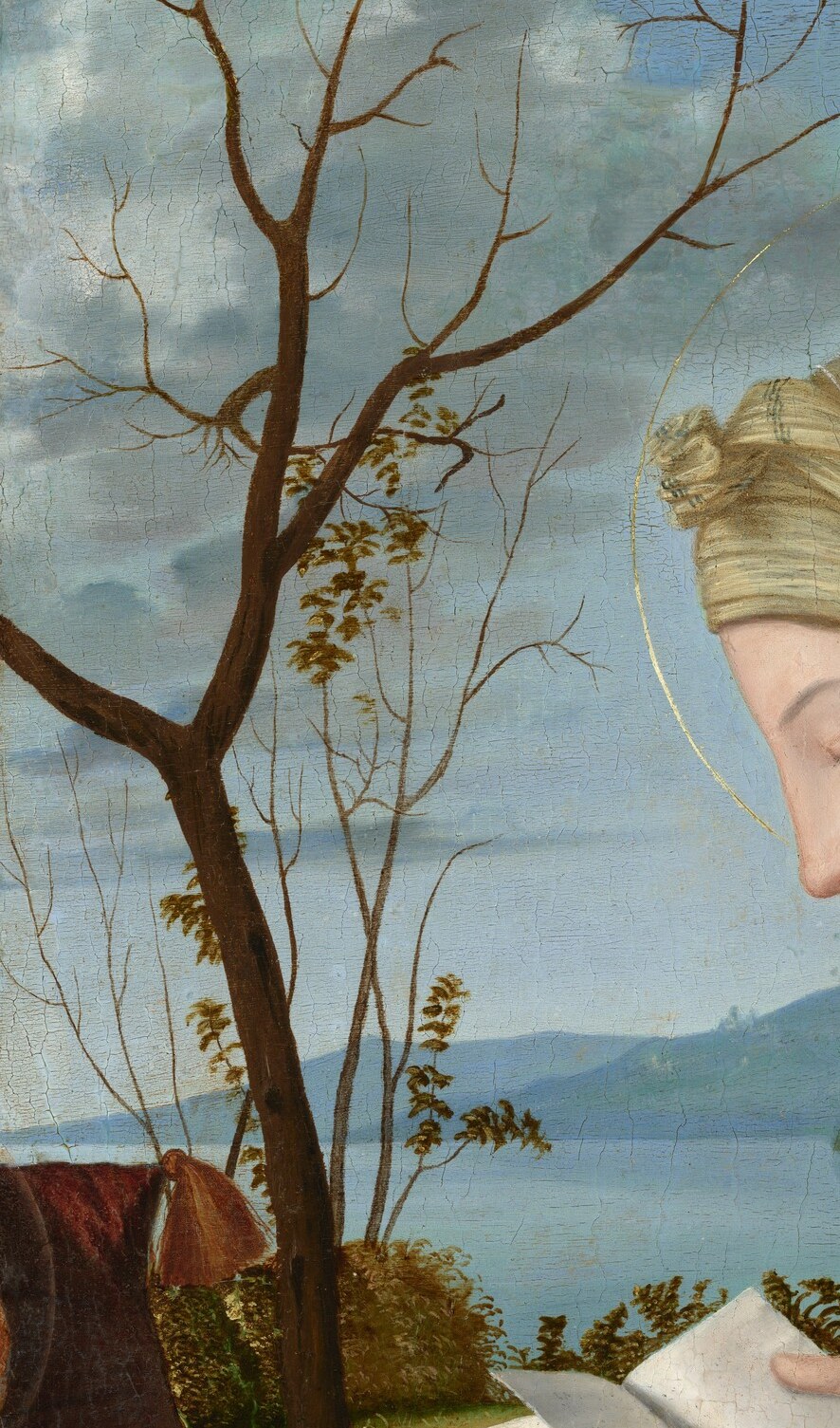 Beyond, a bare tree may symbolize mortality.