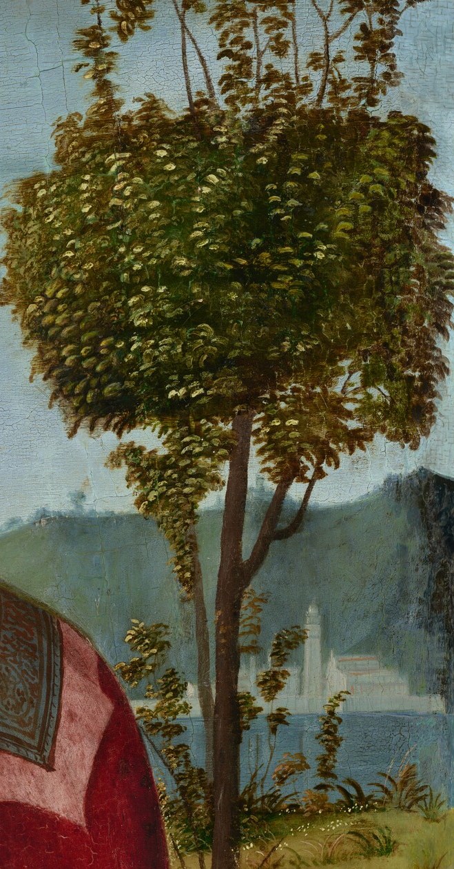 Across from it, a lush tree suggests life and abundance.