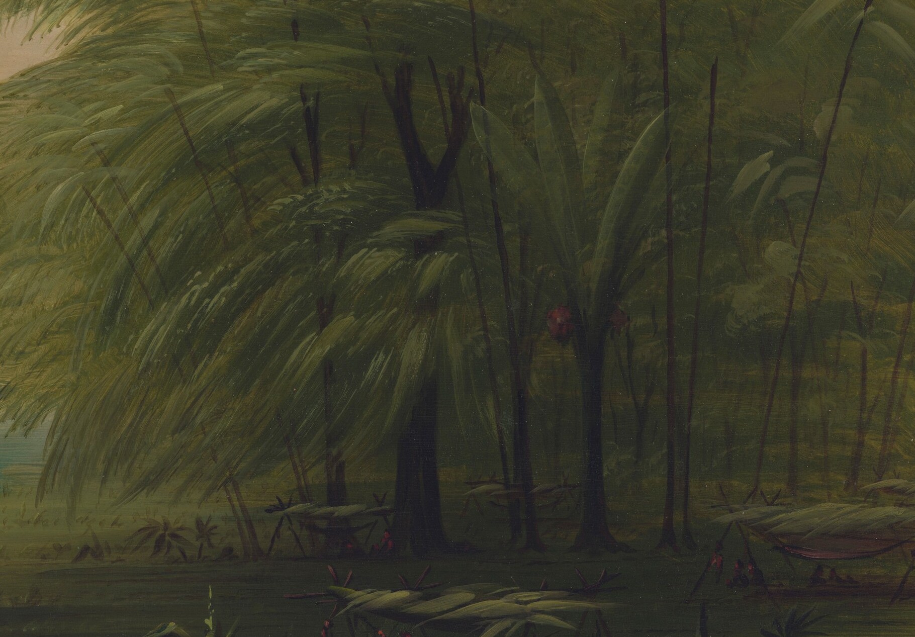 The dense undergrowth and palm fronds show the wild jungle.