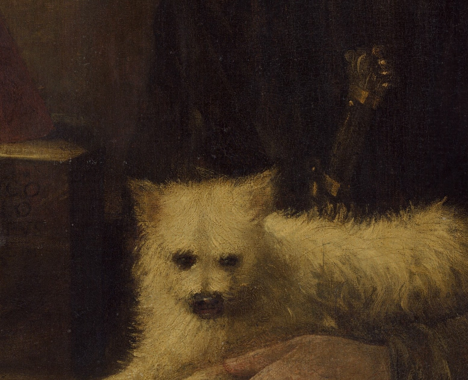 See how he makes the dog’s fur soft and fluffy.
