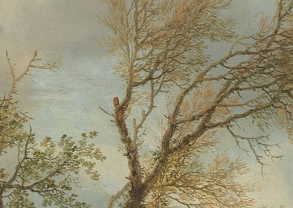 Notice the delicate details of the bare branches against the sky.