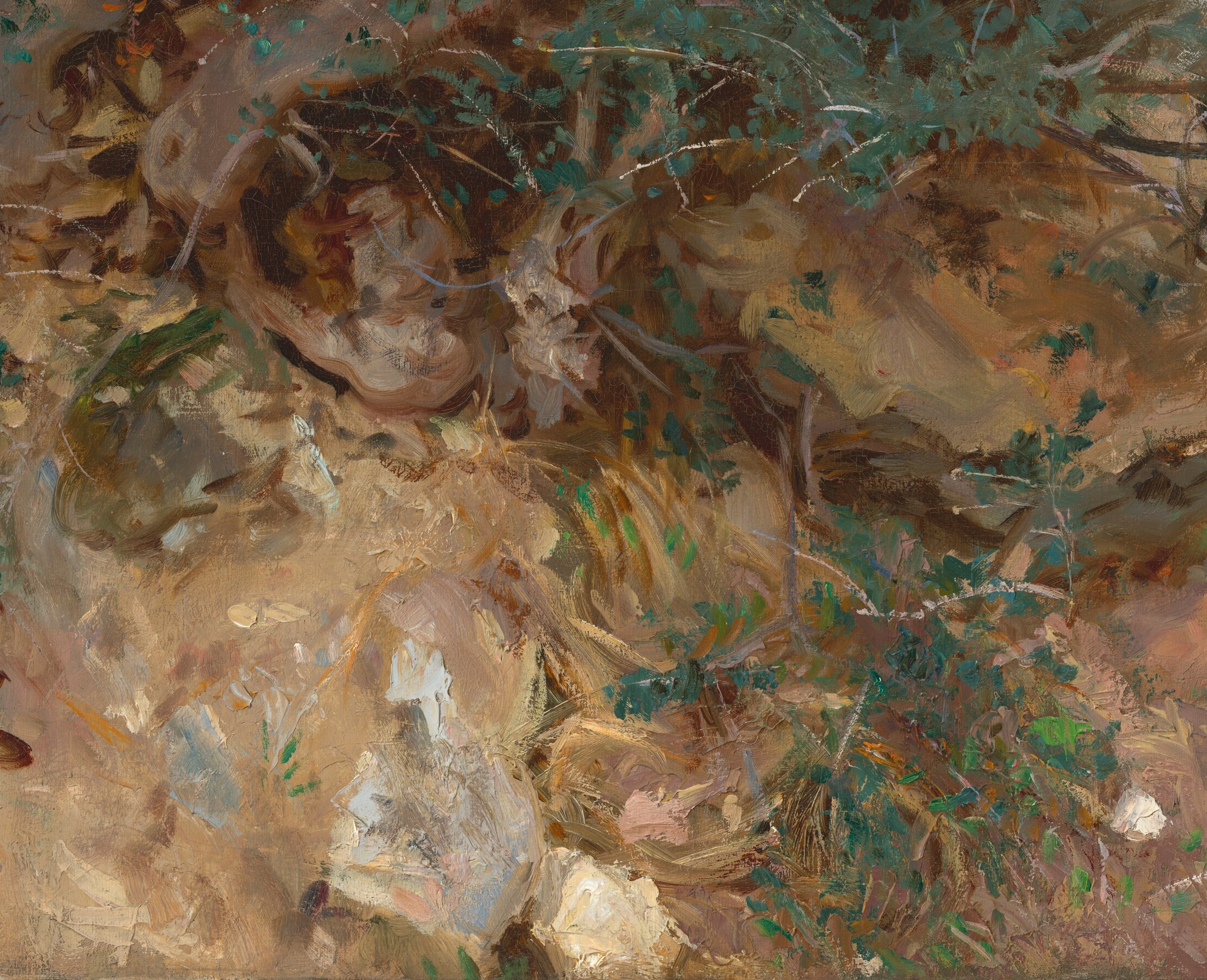 He found beauty in these gnarled olive tree roots on Majorca.