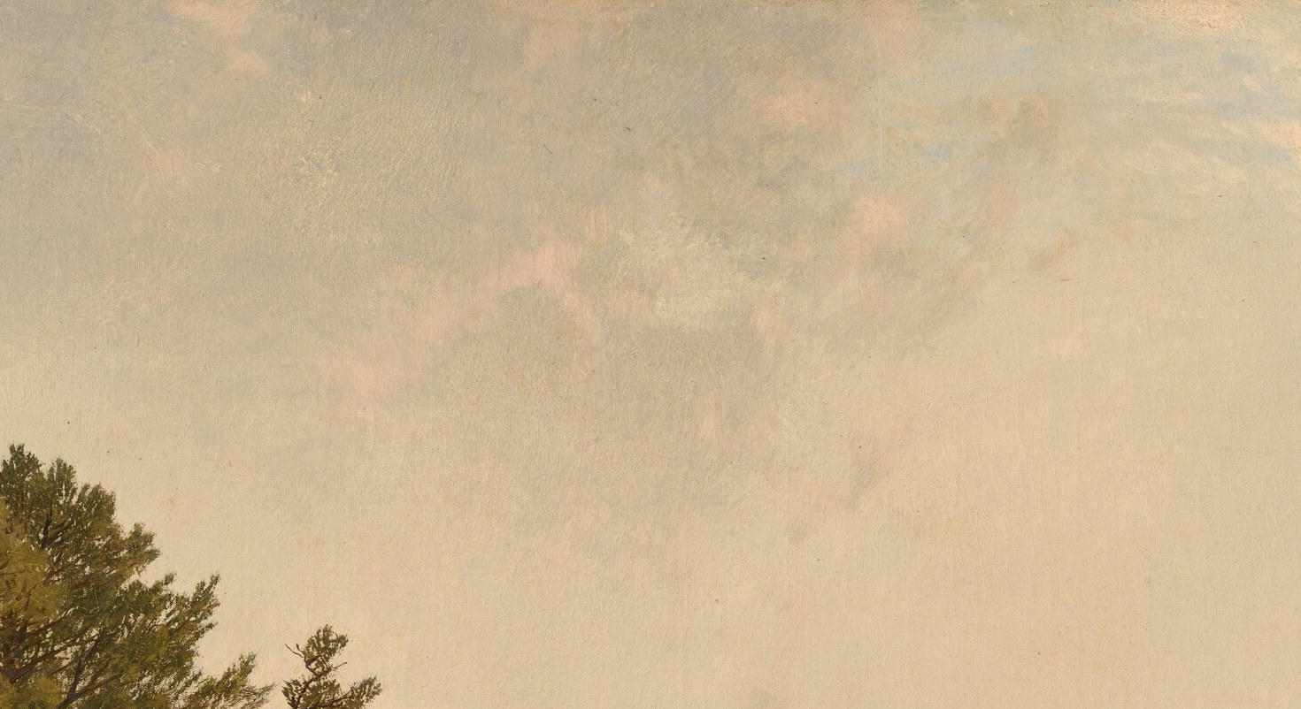 Silhouetted against a pale sky, these trees frame the composition and add organic verticality to an otherwise horizontal scene.