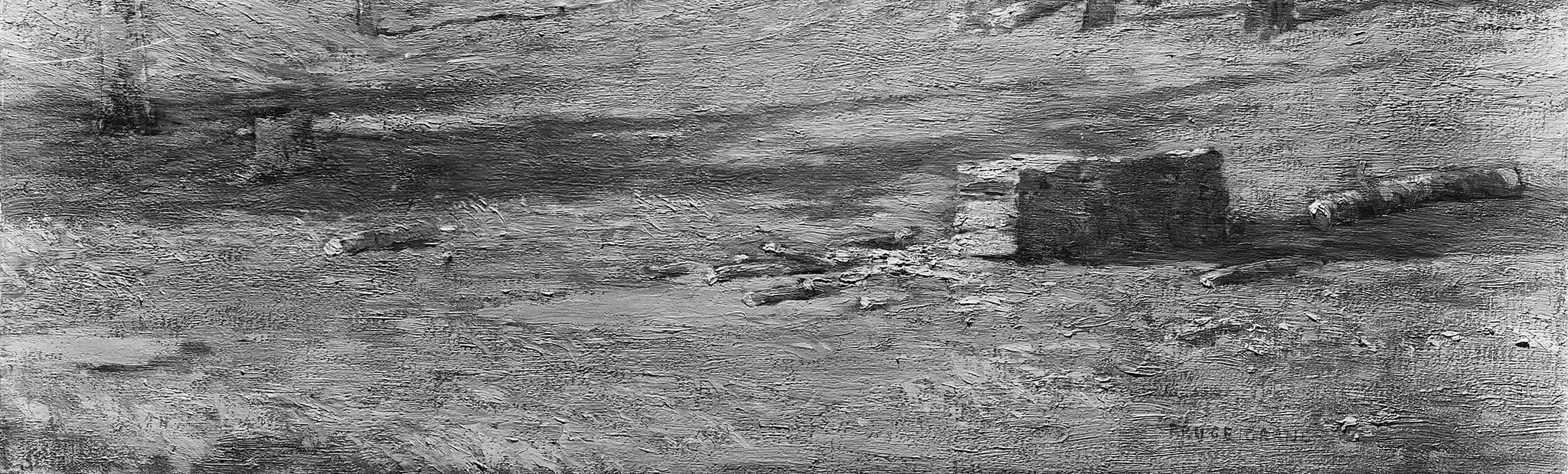 Look closely at the shadowed ground, near the fallen log.