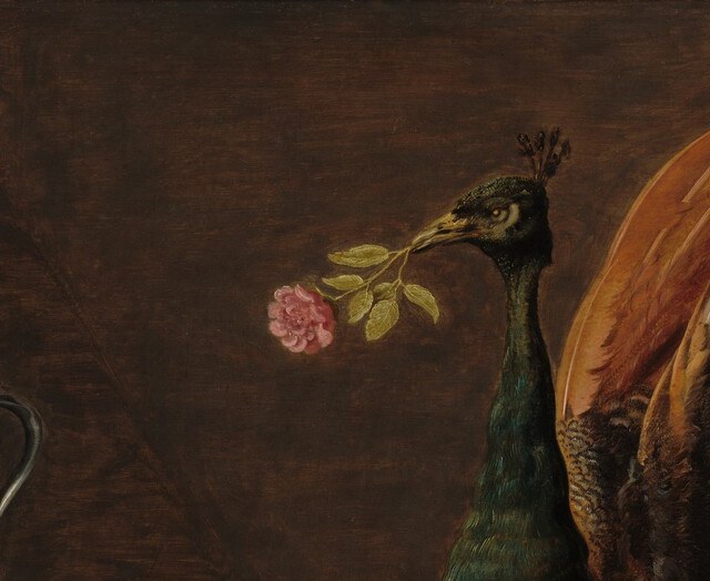 The whole bird was roasted, then re-dressed in its own skin and feathers , a performance dish signalling only landed gentry, who alone could hunt peacock legally, sat here