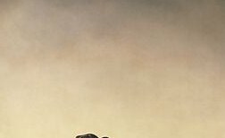 Resolute, windburned expression gazing toward the far shore; the face carries the psychological weight of the entire crossing , determination over despair