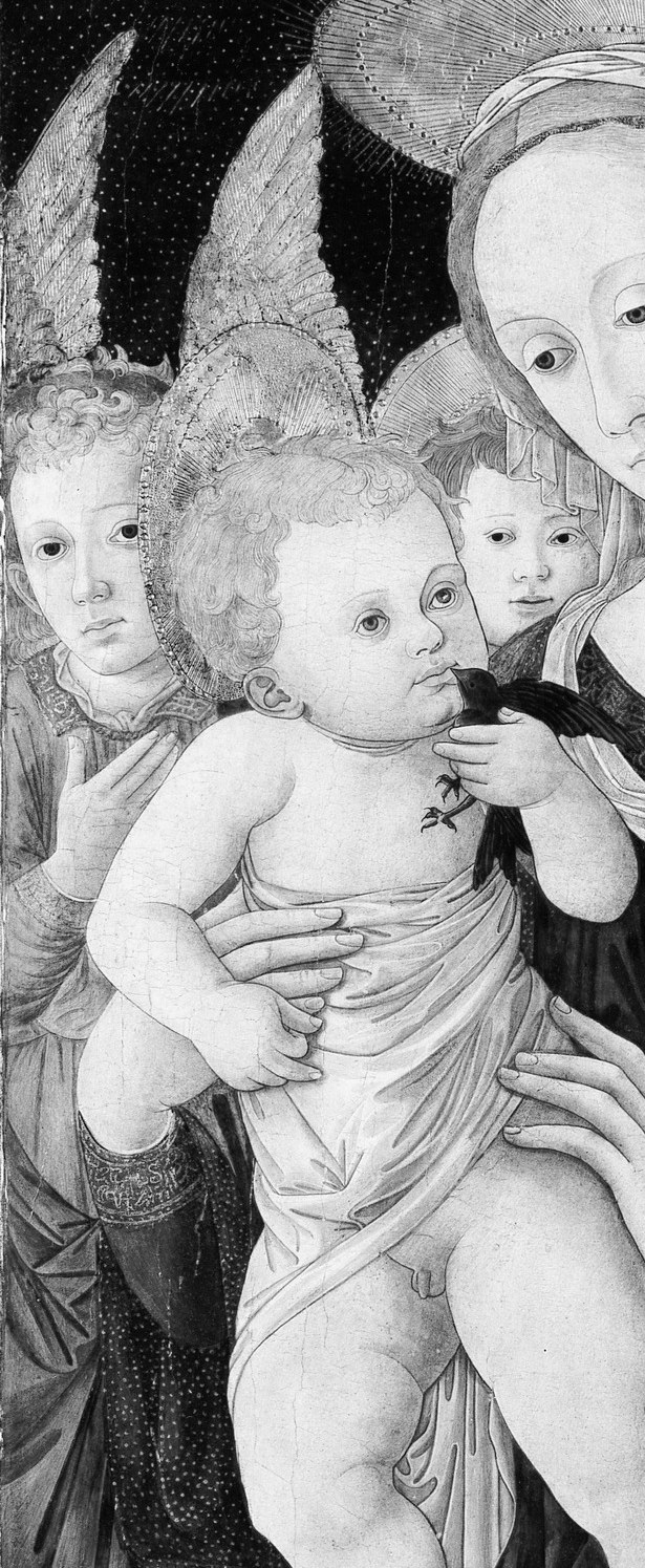 The unusually sombre dark robe , rare for Florentine Madonnas who typically wear blue , creates strong tonal contrast and frames the pale child.