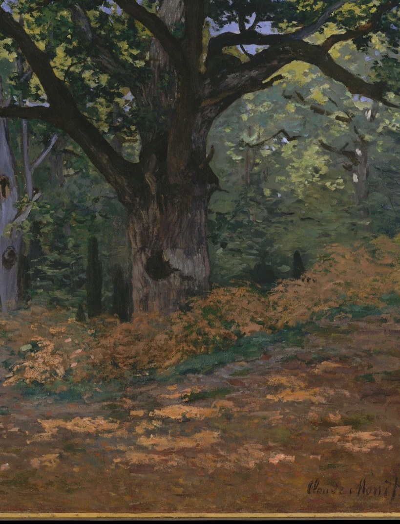 This immense oak, the Bodmer, was one of his favorite subjects.