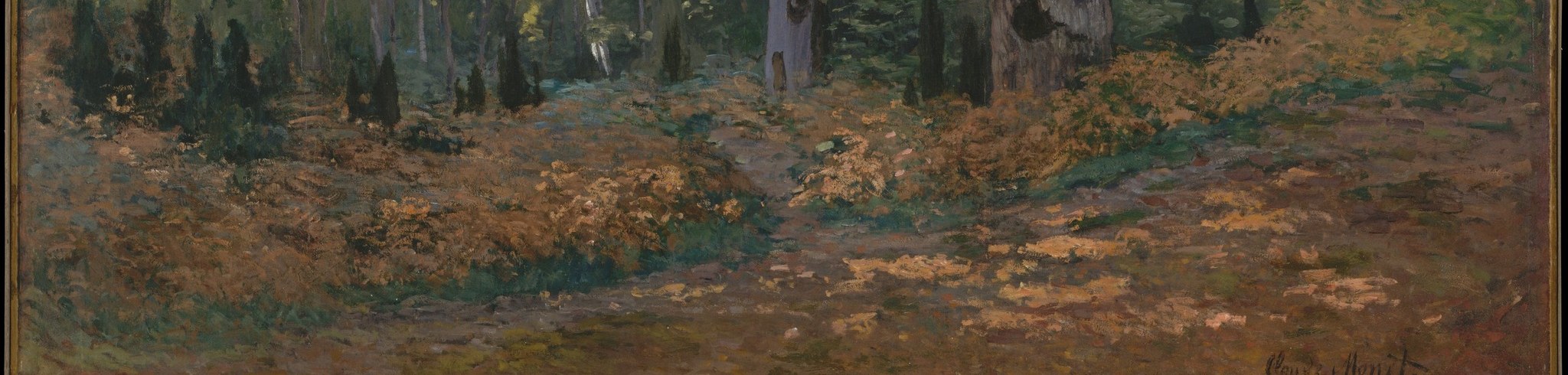 The warm, earthy tones and varied textures suggest the rich, decaying organic matter of the forest floor.