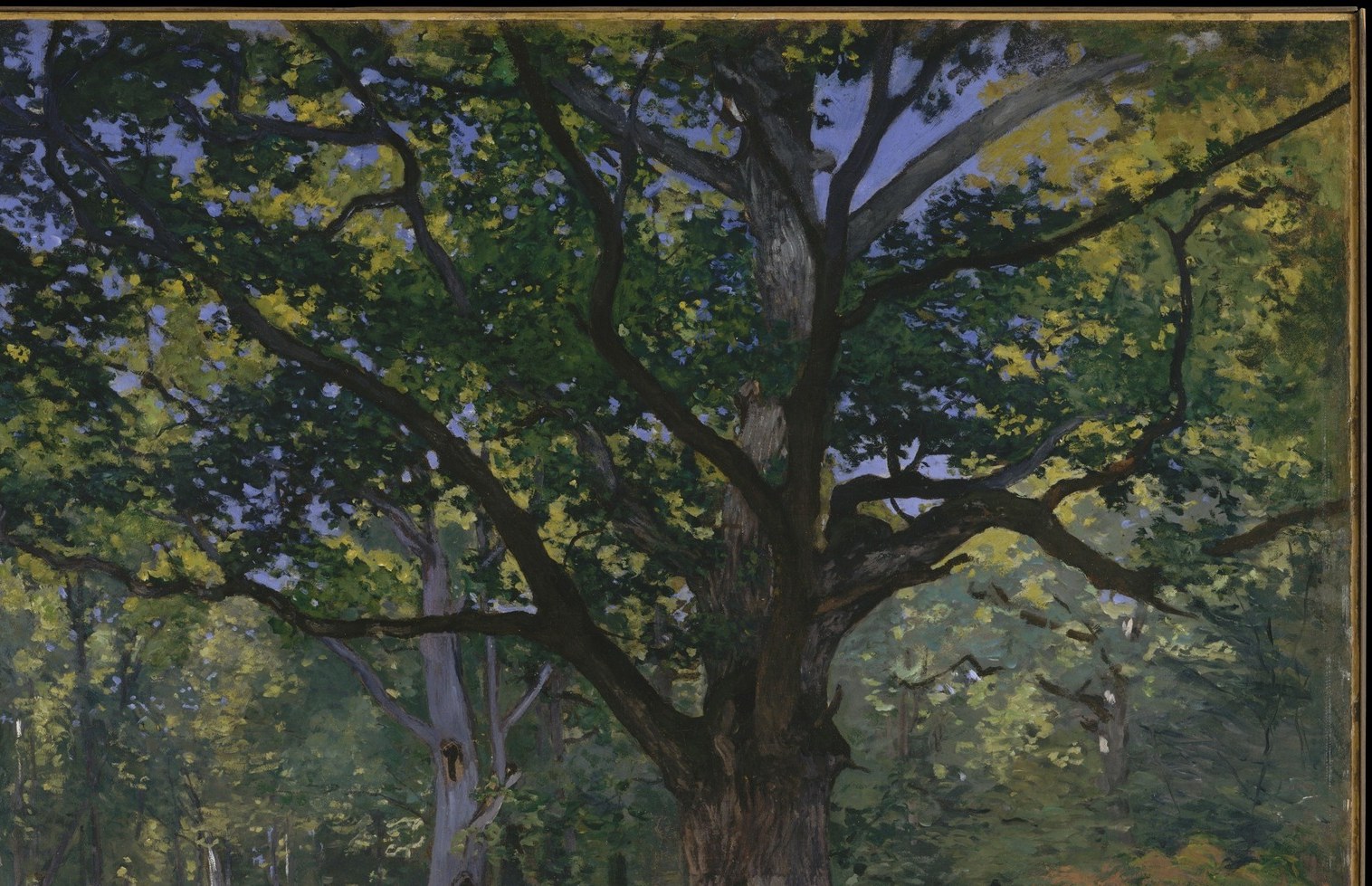 Look at the play of light on the gnarled, spreading branches.
