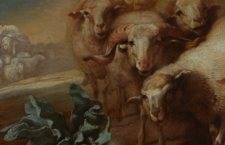 These sheep are more loosely grouped, suggesting a natural, unforced gathering.