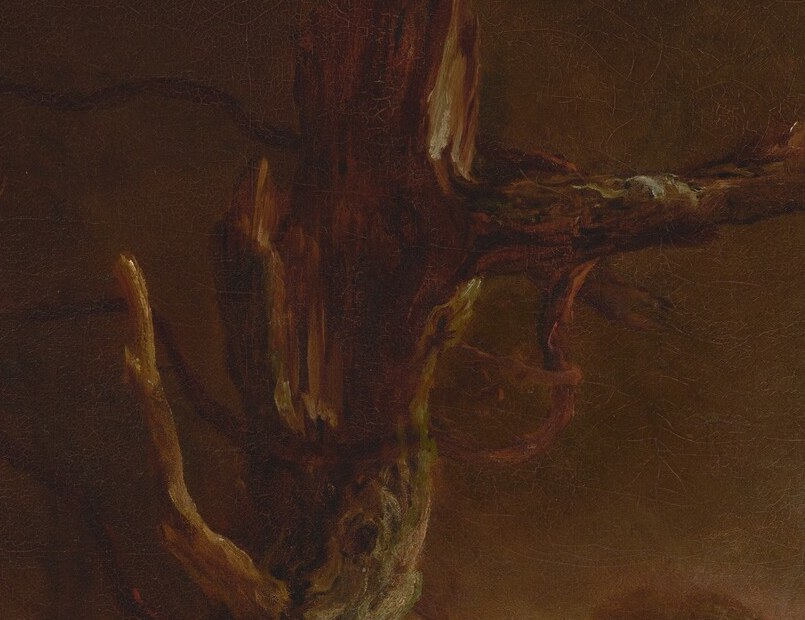 These skeletal forms suggest the violence of the storm and the fragility of life.