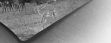 Tiny figures are tucked in among the script.