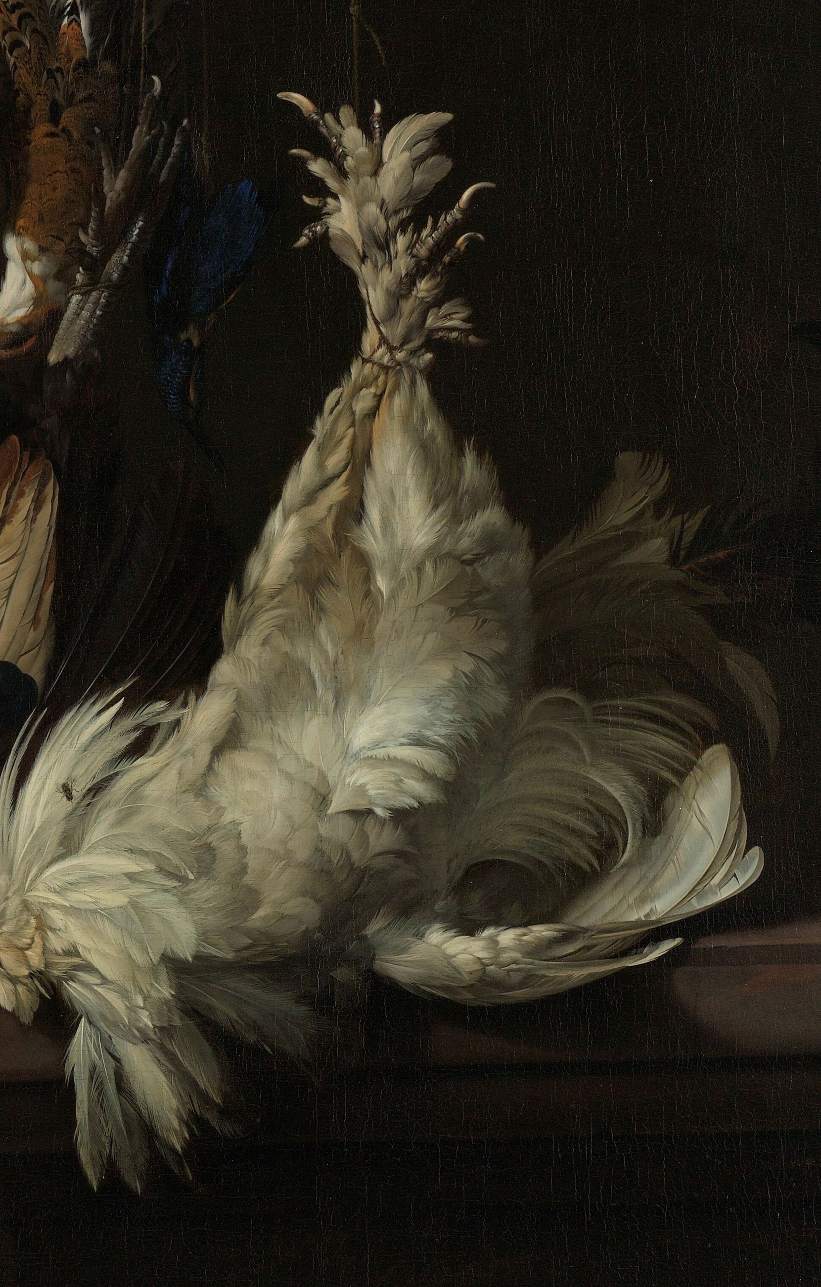 But look closely at the white chicken's wing.