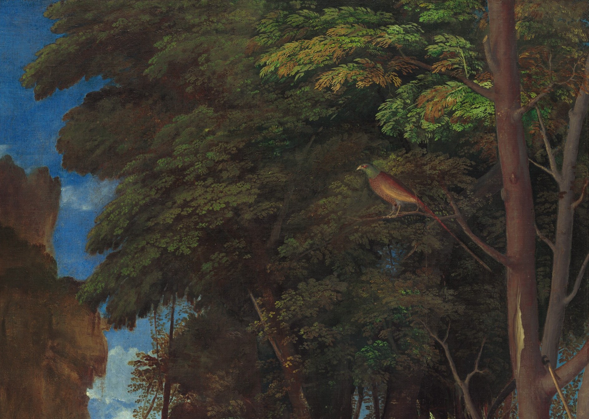 Likely partly by Dosso Dossi; the almost theatrical darkness of the foliage creates a stage-curtain effect that focuses attention on the lit figures below , a compositional device worth remarking.
