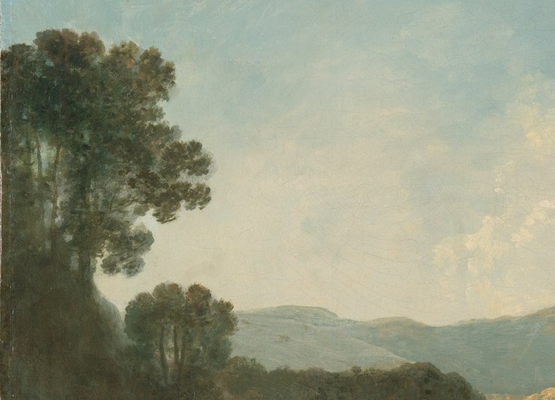 Dense foliage creates a strong contrast and frames the scene, hinting at hidden depths.