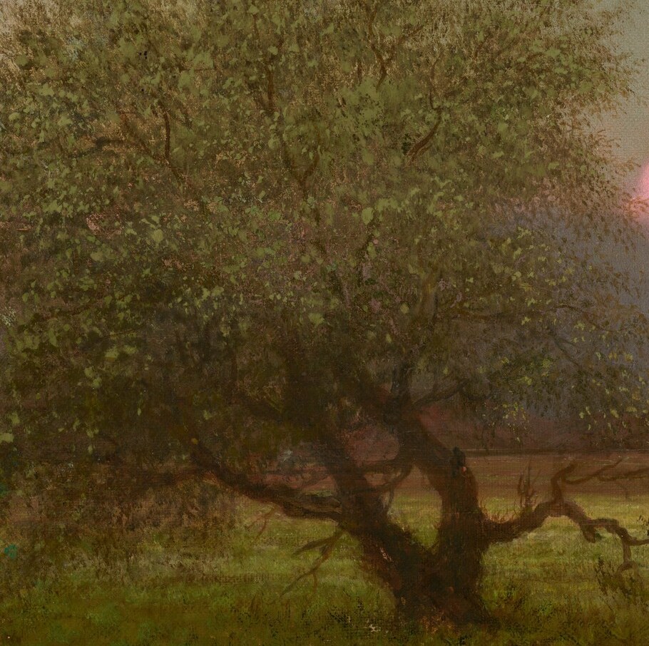 Its twisted posture, bared branches, and lean to the right echo the incoming weather; a living gauge of marshland wind and the sole vertical presence in an otherwise horizontal world.