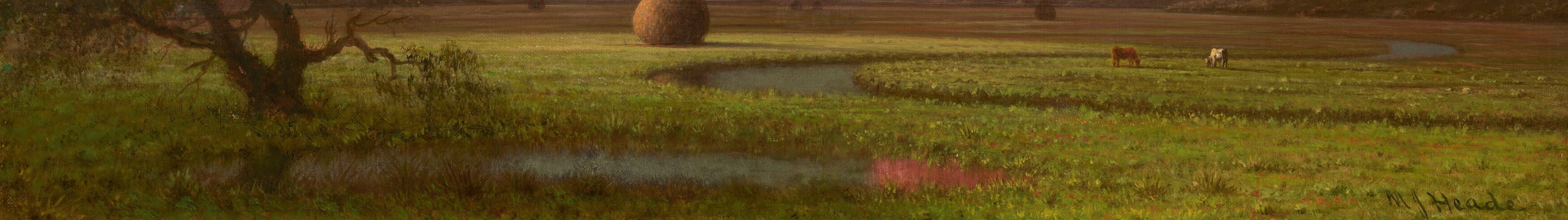 A dense horizontal carpet of tidal grass in contrasting warm hues; close inspection reveals the micro-texture Heade used to anchor the atmospheric sky in tangible earth.