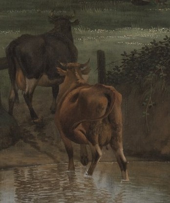 And the cows are struggling in the water.