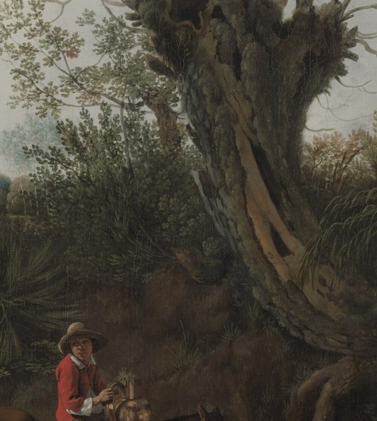 The weathered texture and hollow form of the tree suggest age and resilience, a silent witness to the landscape.
