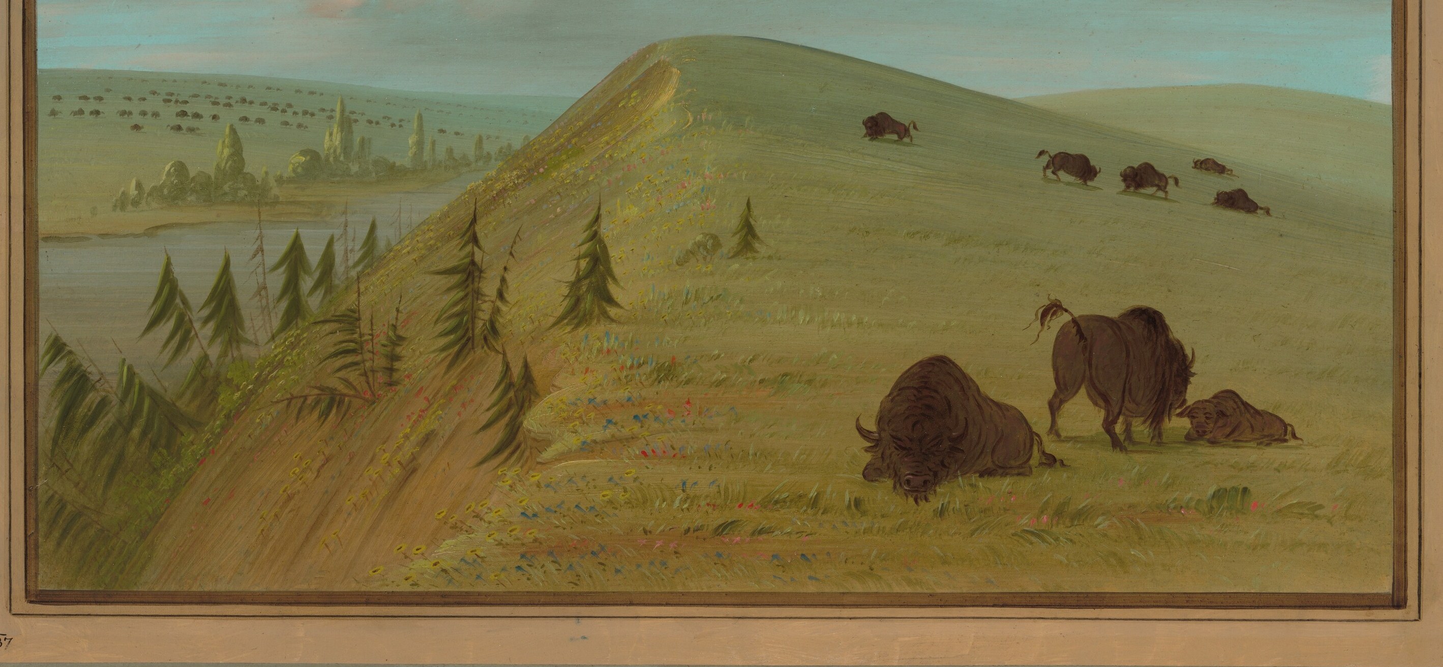But he also documented the landscapes they inhabited.