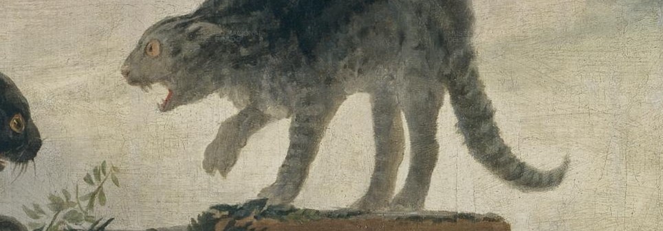Two cats tumble in a tangle.