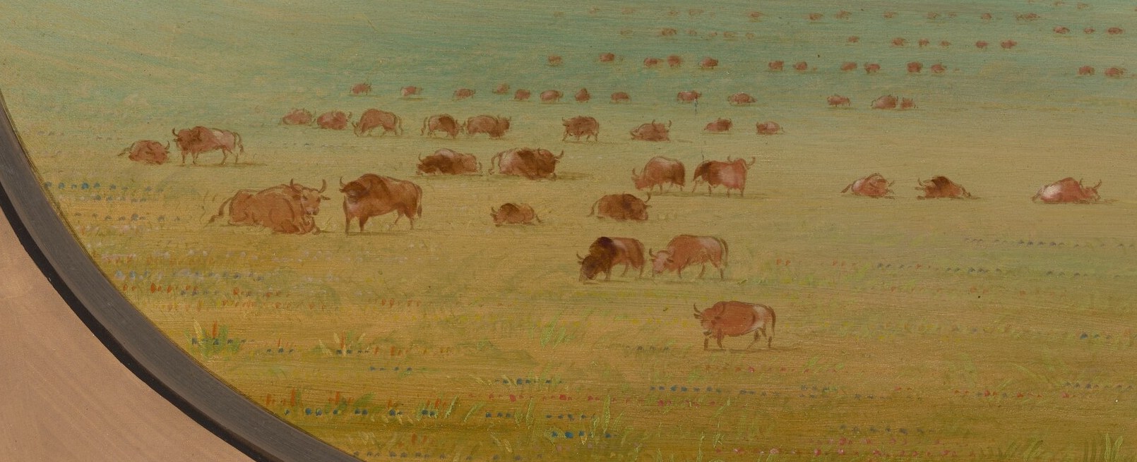 But in 1862, he depicted wild cattle grazing in South America.