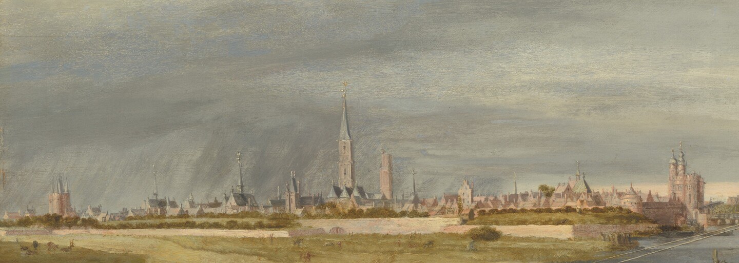 The painting's true subject , a wide harbour city rendered with meticulous topographic ambition, likely documenting a real place at a specific historical moment