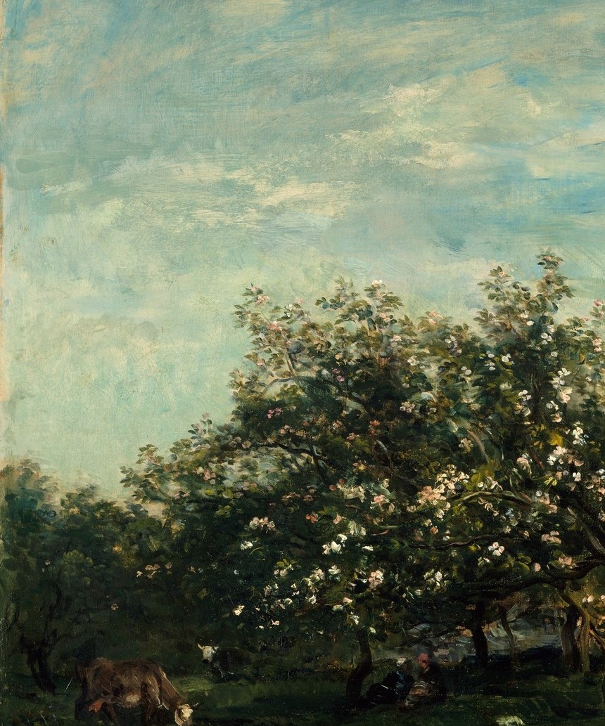 Look to the left, at the base of the trees in the shade.