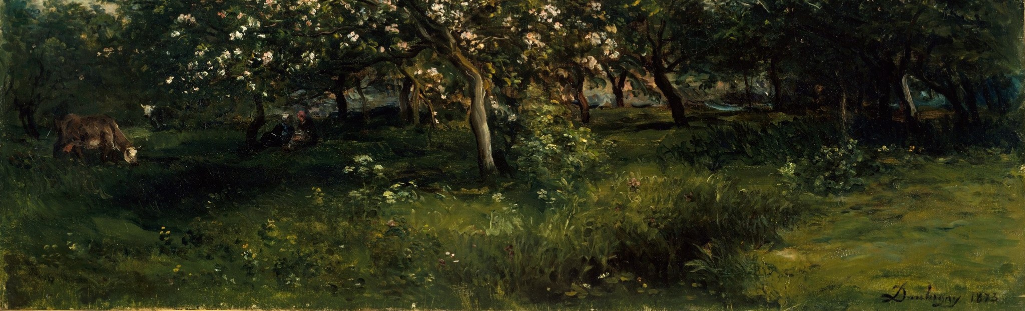 A sweep of warm green grass flecked with tiny wildflower touches occupies the lower third; the color shift from shadow to sun light draws the eye deep into the orchard.