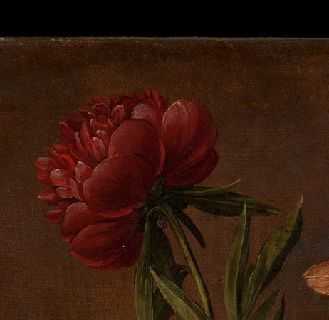 The dark red at the crown is a carnation for Christ's blood.