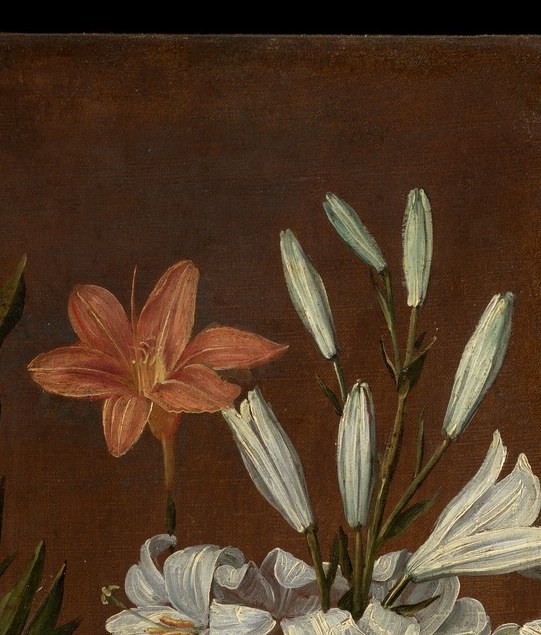 But look higher. Right edge. That orange flower.