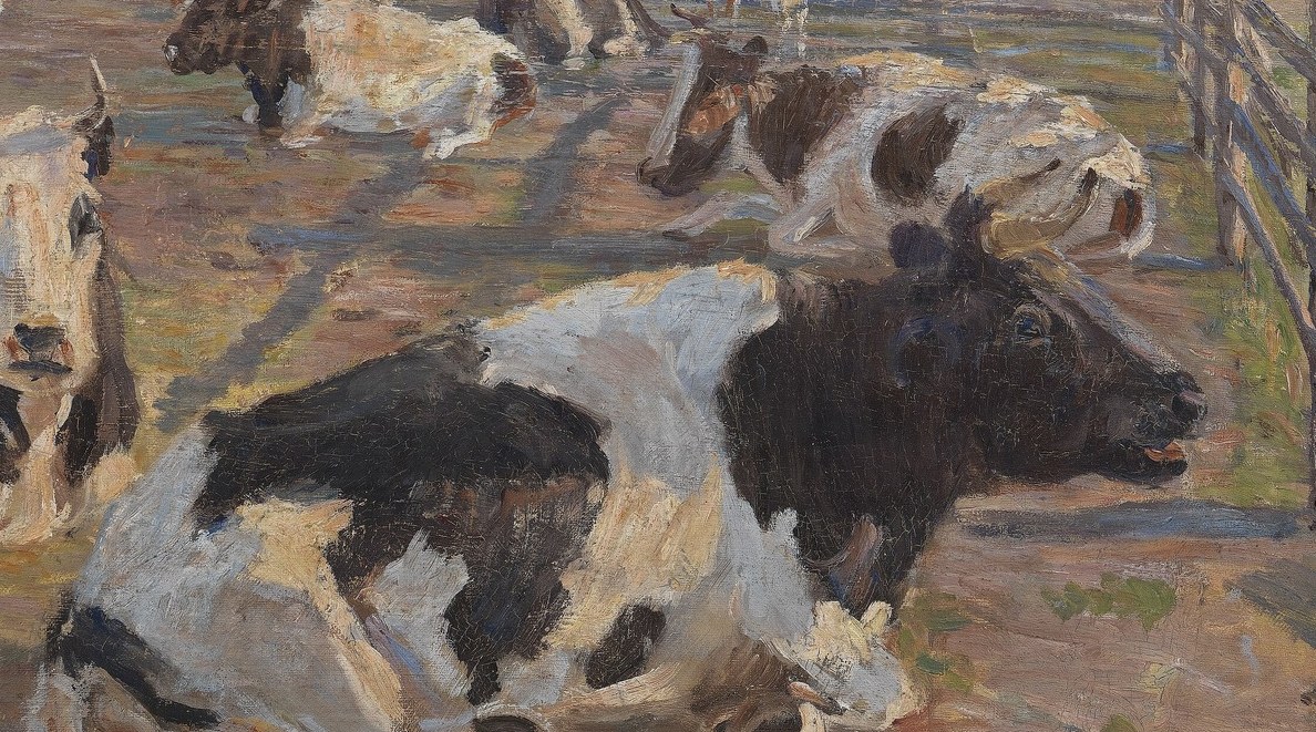 Notice the varied markings on the cows.